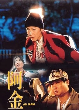 阿金封面图
