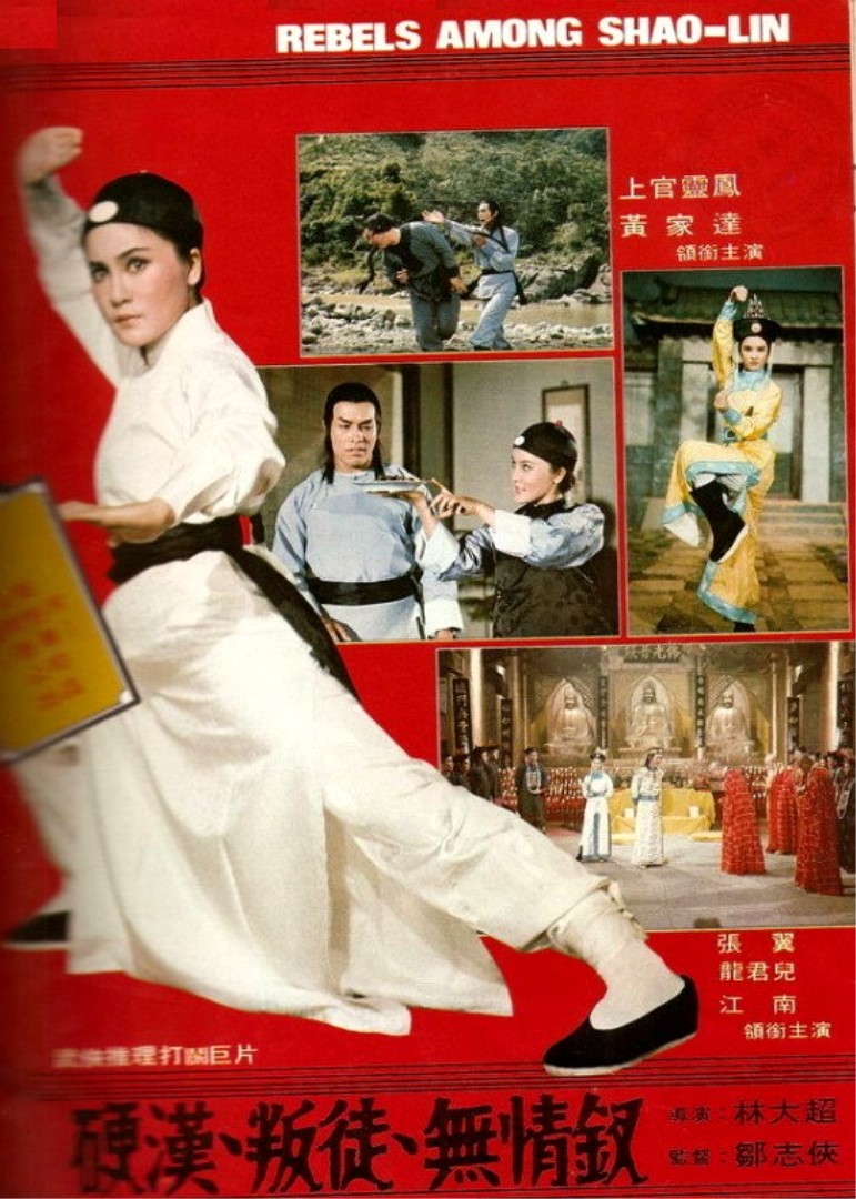 少林叛徒封面图