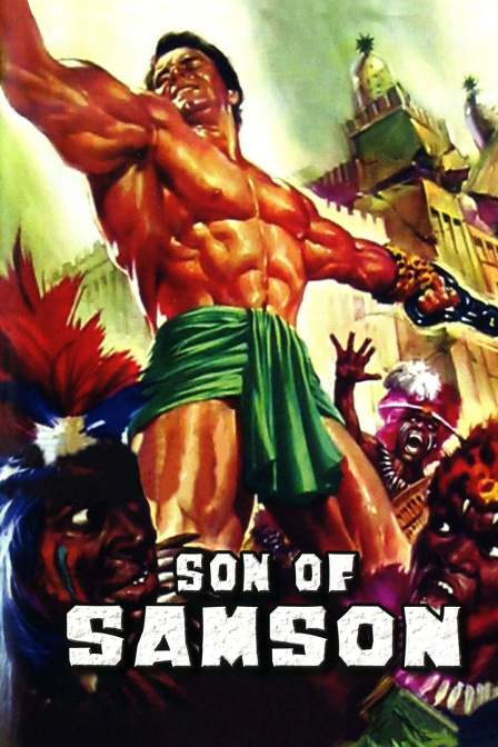 参孙的儿子封面图