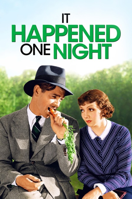 一夜风流封面图