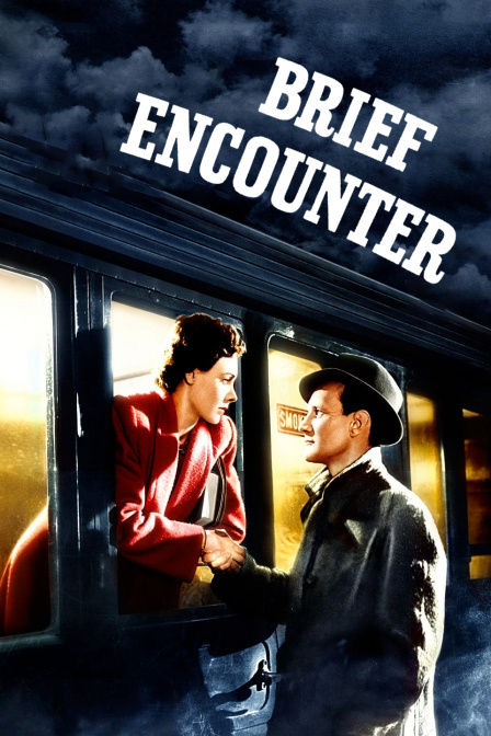 相见恨晚封面图