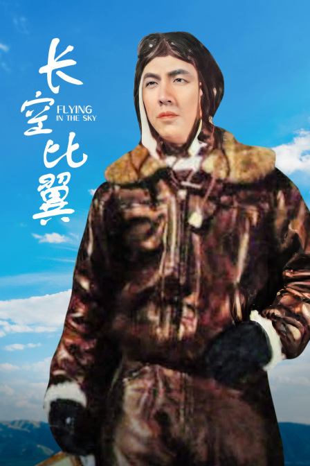 长空比翼封面图