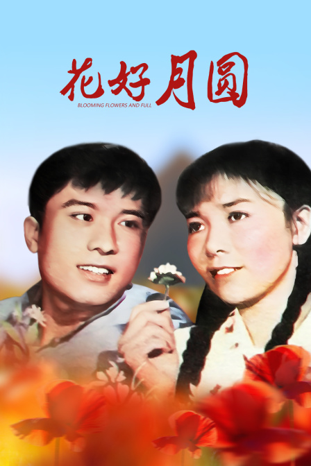 花好月圆封面图