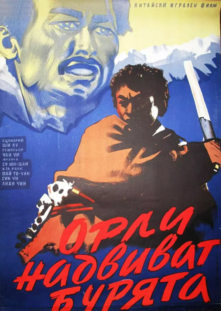 暴风中的雄鹰封面图