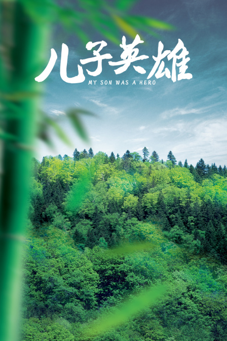 儿子英雄封面图