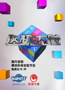 终极大脑封面图