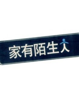家有陌生人封面图