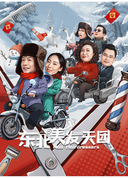 东北美发天团封面图