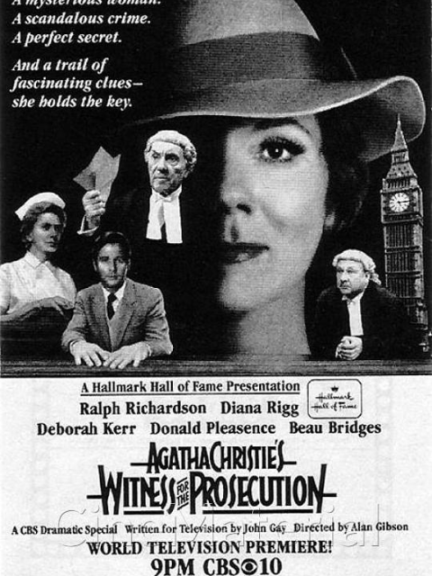 控方证人封面图