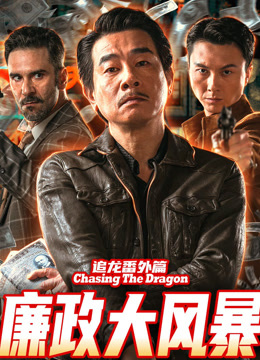 追龙番外篇之廉政大风暴封面图