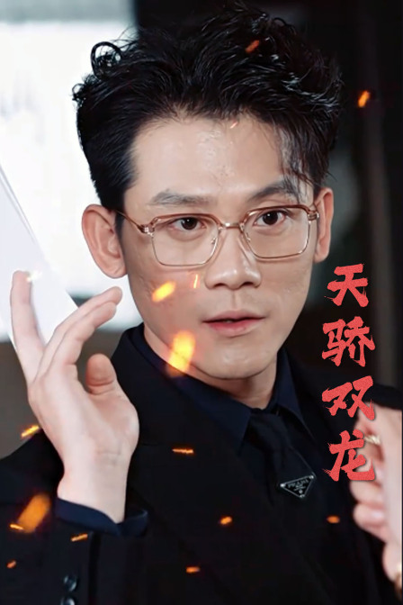 天骄双龙封面图