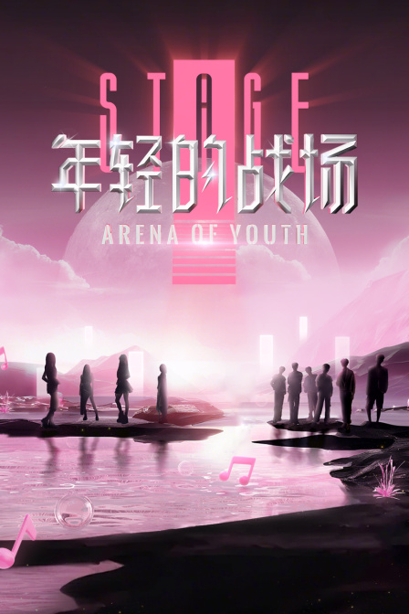 年轻的战场封面图