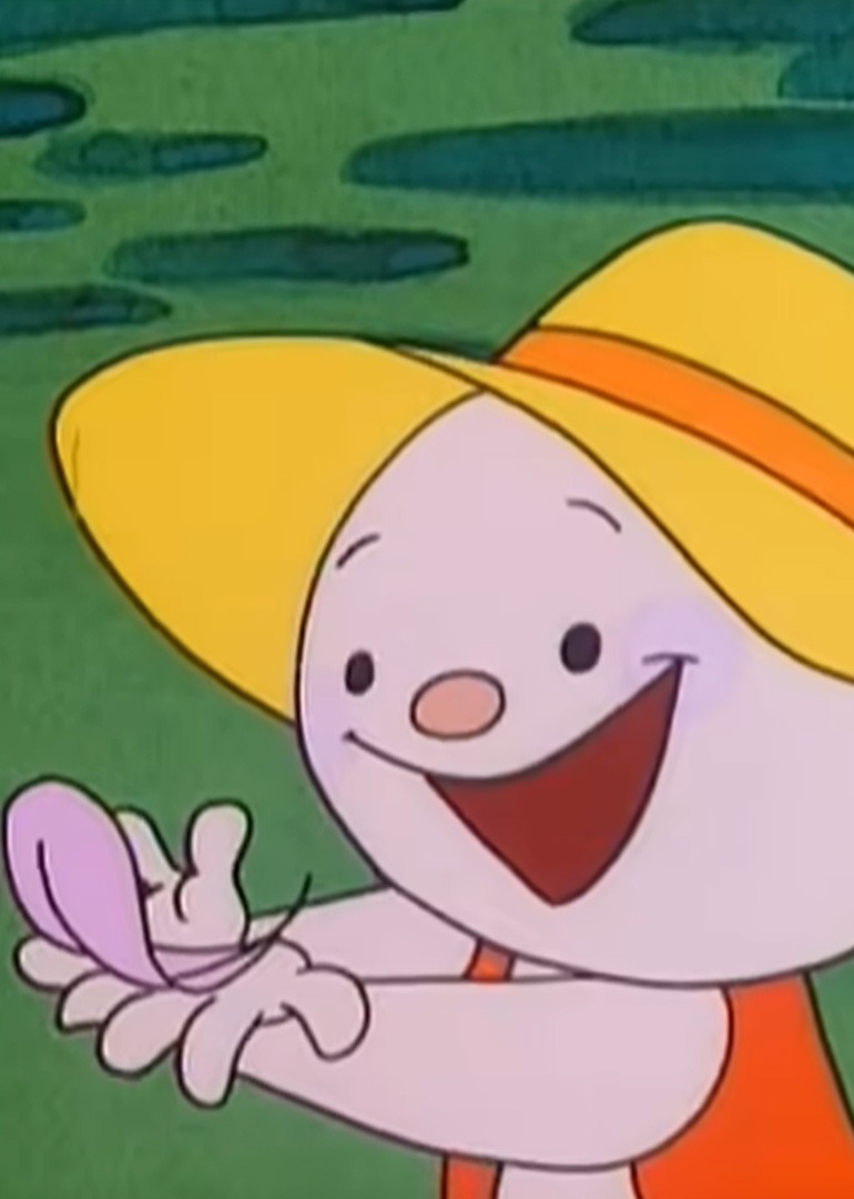 森林、小鸟和我封面图