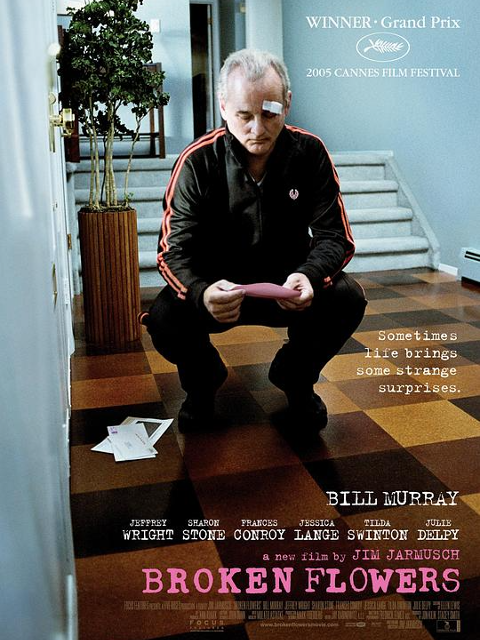 破碎之花封面图