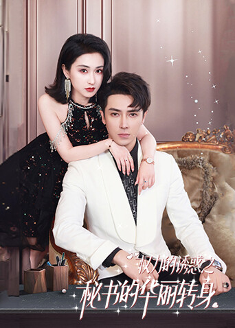 权力的诱惑之秘书的华丽转身封面图
