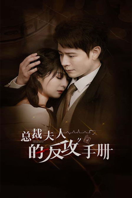 总裁夫人的反攻手册封面图