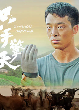 只手擎天封面图