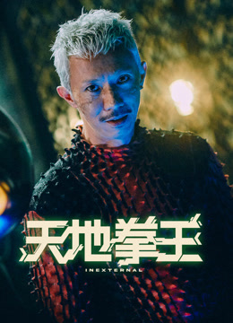 天地拳王（粤语）封面图