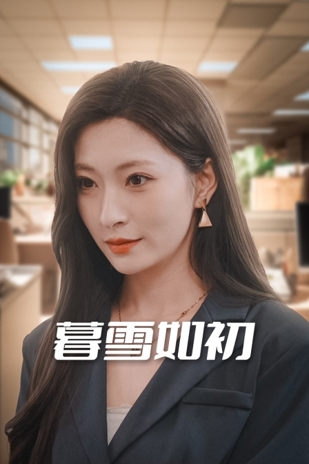 暮雪如初封面图