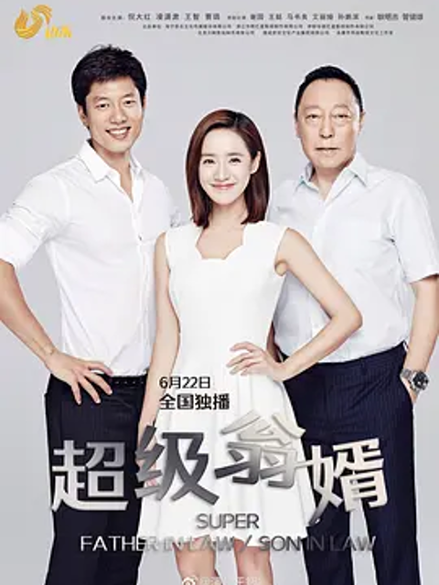 超级翁婿封面图