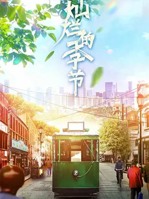 灿烂的季节封面图