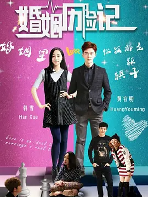 婚姻遇险记封面图