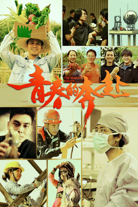 青春的奔赴封面图