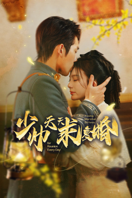 少帅天天求复婚封面图