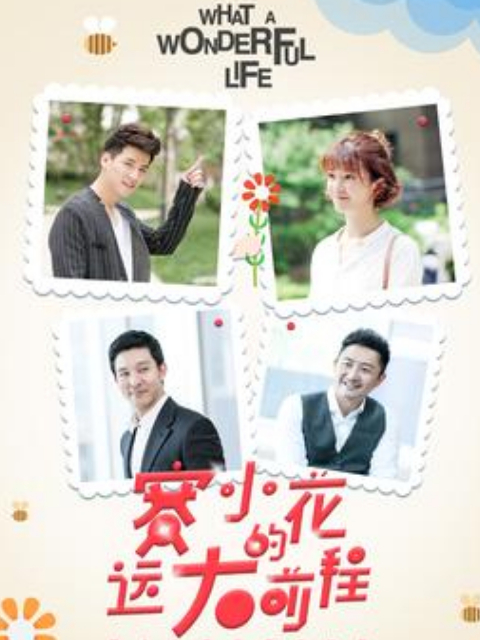 赛小花的远大前程封面图