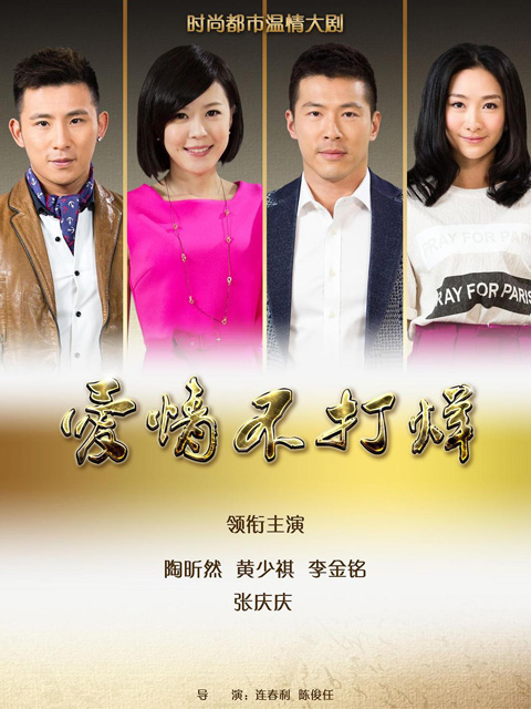 爱情不打烊封面图