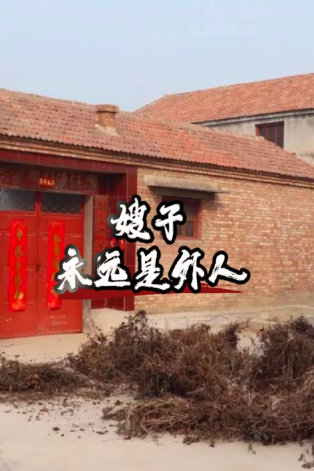 嫂子永远是外人封面图