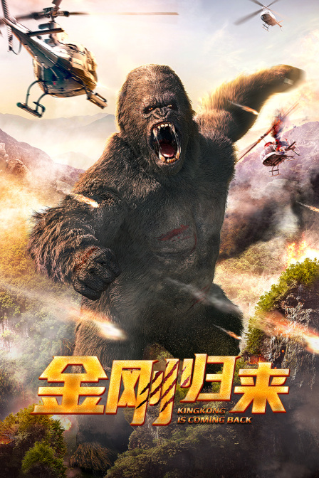 金刚归来封面图