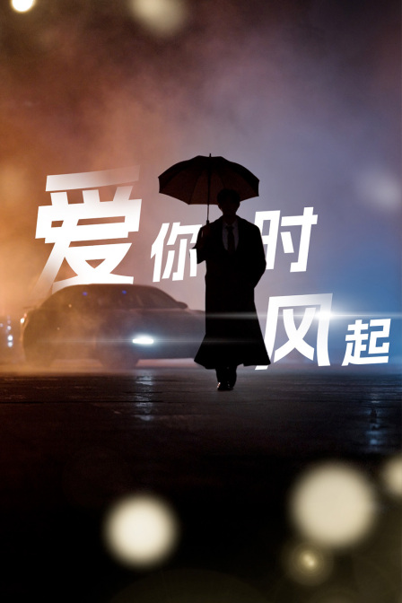 爱你时风起封面图