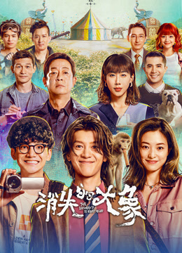 消失的大象封面图