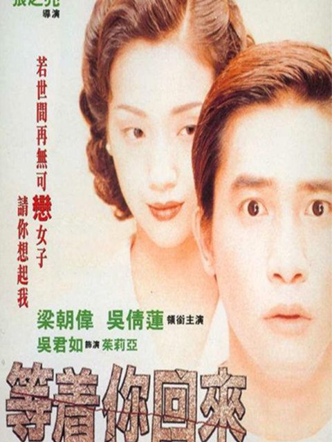 等着你回来封面图