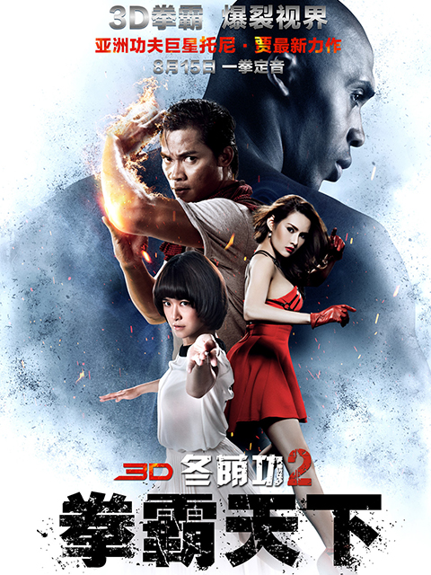 冬荫功2：拳霸天下封面图
