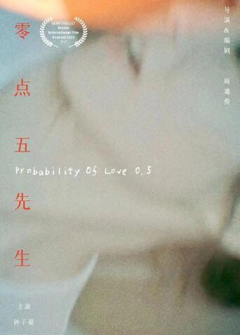 零点五先生封面图
