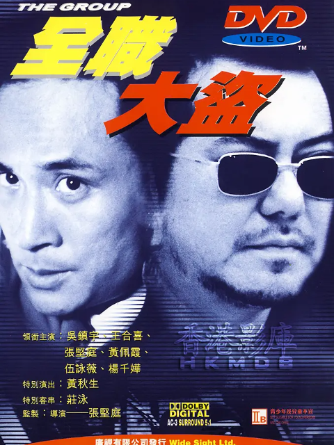 全职大盗封面图