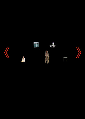 。ﾟoﾟ。封面图