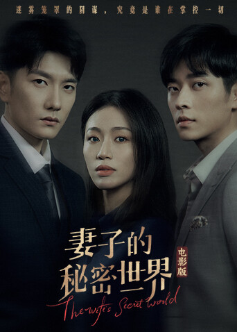 妻子的秘密世界电影版封面图