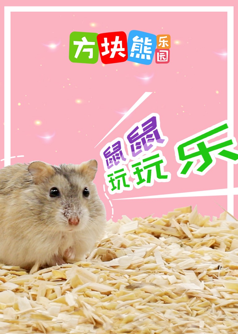 方块熊鼠仔玩玩乐封面图